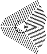 An optician would tell you that you are viewing a perfect circle., but you can see somrething different.