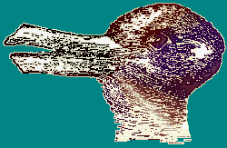 Binoculars out! Is it a duck or a rabbit? Can you trust what your eyes tell you?