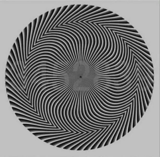 Hidden numbers in a web..
