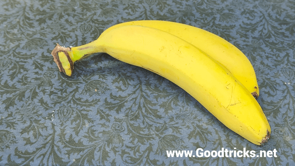 The sliced banana magic trick gets a look of surprise.